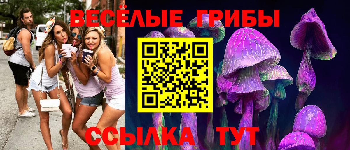 Галлюциногенные грибы MAGIC MUSHROOMS  Вход с VPN  Глазов 
