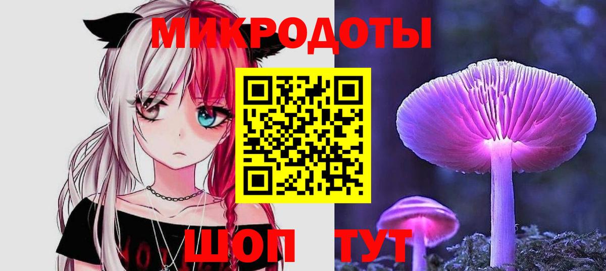 Галлюциногенные грибы Psilocybine cubensis Глазов
